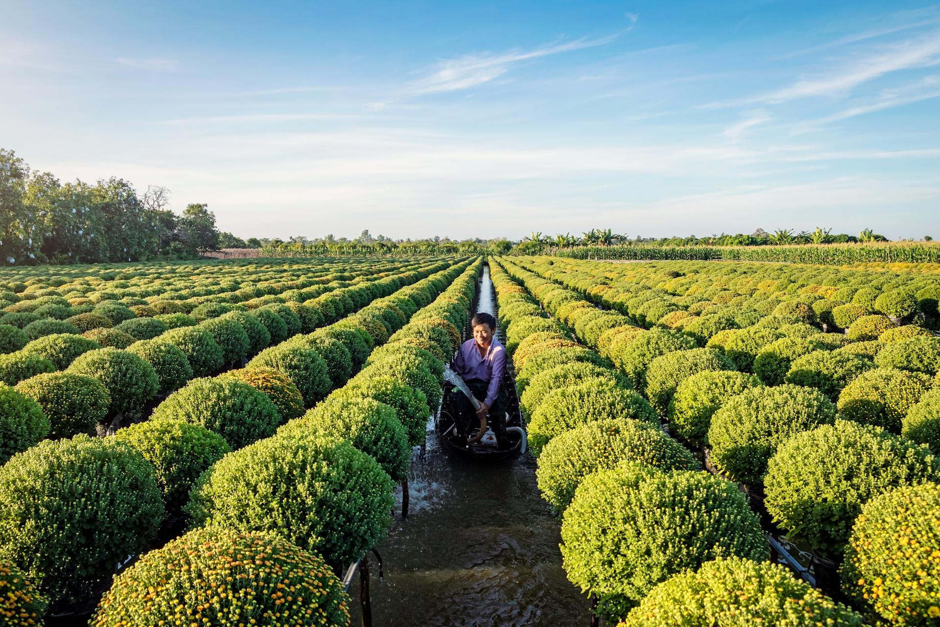 Begin your visa-prepared day with Vietnam’s tranquil ambiance
